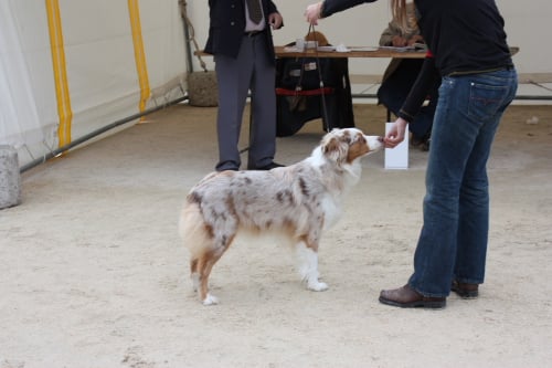 Publication : des Tresors du Mont Ventoux Auteur : VANESSA GROSSEMY