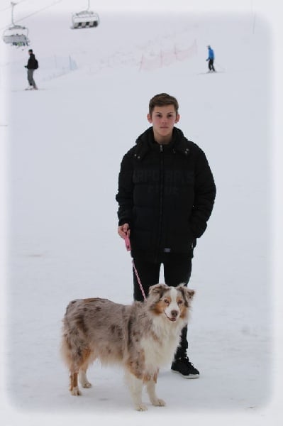 Publication : des Tresors du Mont Ventoux Auteur : VANESSA GROSSEMY