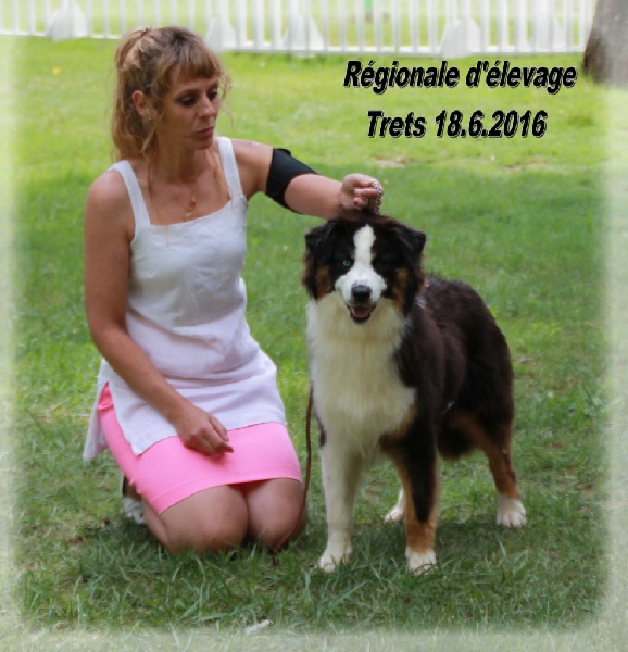 Publication : des Tresors du Mont Ventoux