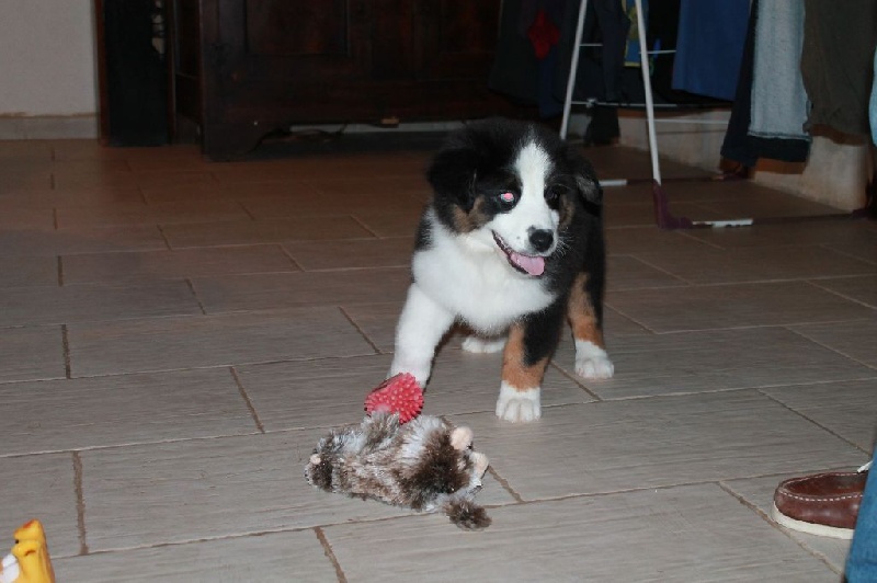 Publication : des Tresors du Mont Ventoux