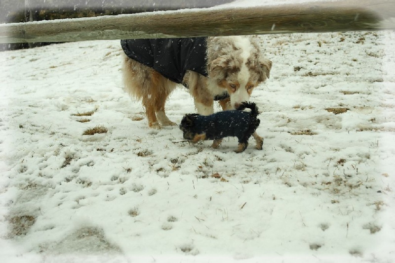 Publication : des Tresors du Mont Ventoux Auteur : VANESSA GROSSEMY