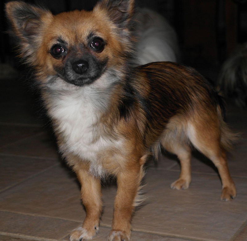 Publication : des Tresors du Mont Ventoux Auteur : VANESSA GROSSEMY