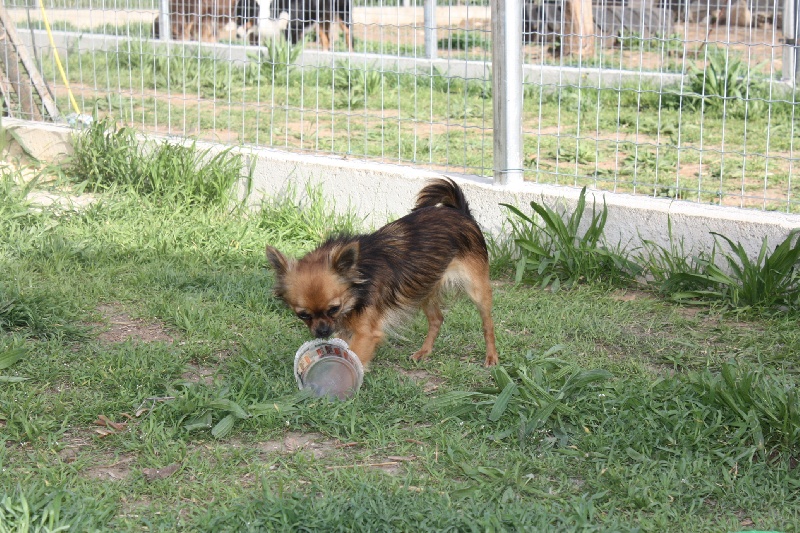 Publication : des Tresors du Mont Ventoux Auteur : VANESSA GROSSEMY