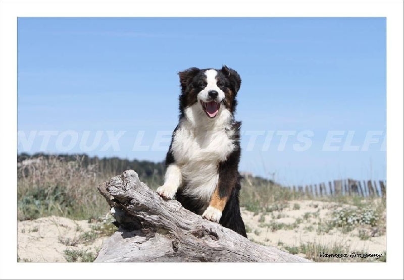 Publication : des Tresors du Mont Ventoux