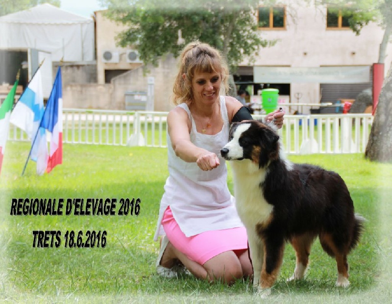 Publication : des Tresors du Mont Ventoux