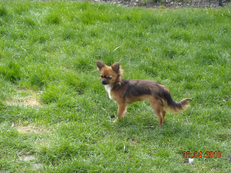 Publication : des Tresors du Mont Ventoux Auteur : VANESSA GROSSEMY