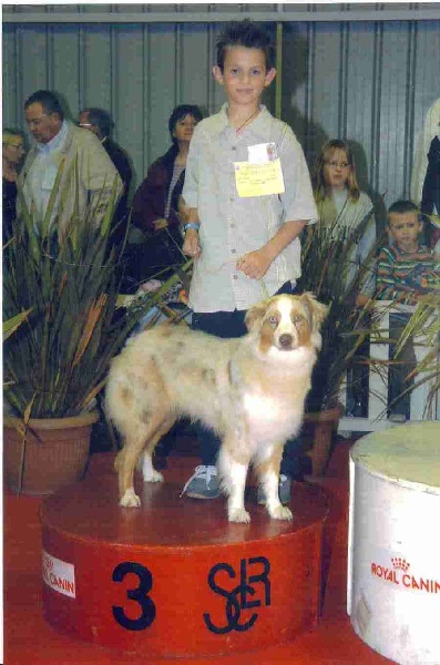 Publication : des Tresors du Mont Ventoux Auteur : VANESSA GROSSEMY