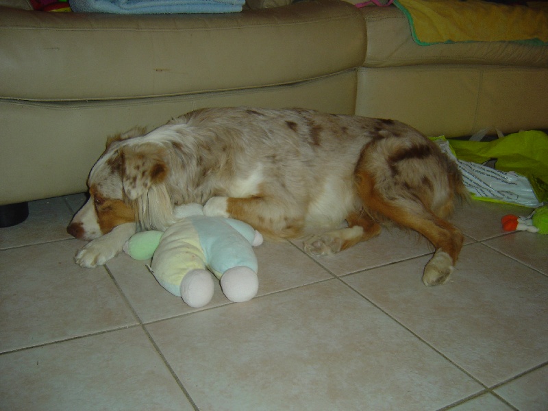 Publication : des Tresors du Mont Ventoux Auteur : VANESSA GROSSEMY