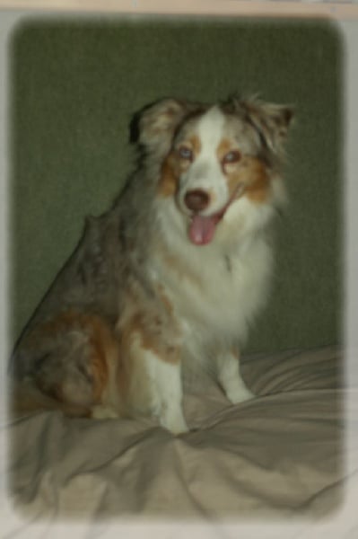 Publication : des Tresors du Mont Ventoux Auteur : VANESSA GROSSEMY