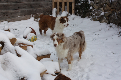 Publication : des Tresors du Mont Ventoux Auteur : VANESSA GROSSEMY