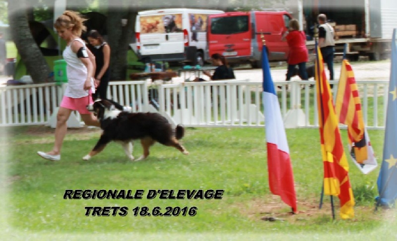 Publication : des Tresors du Mont Ventoux