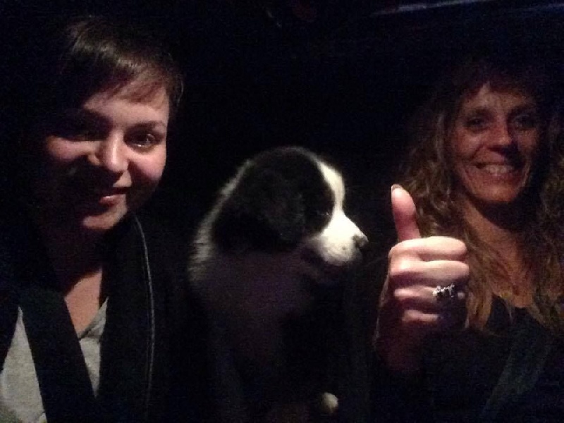 Publication : des Tresors du Mont Ventoux