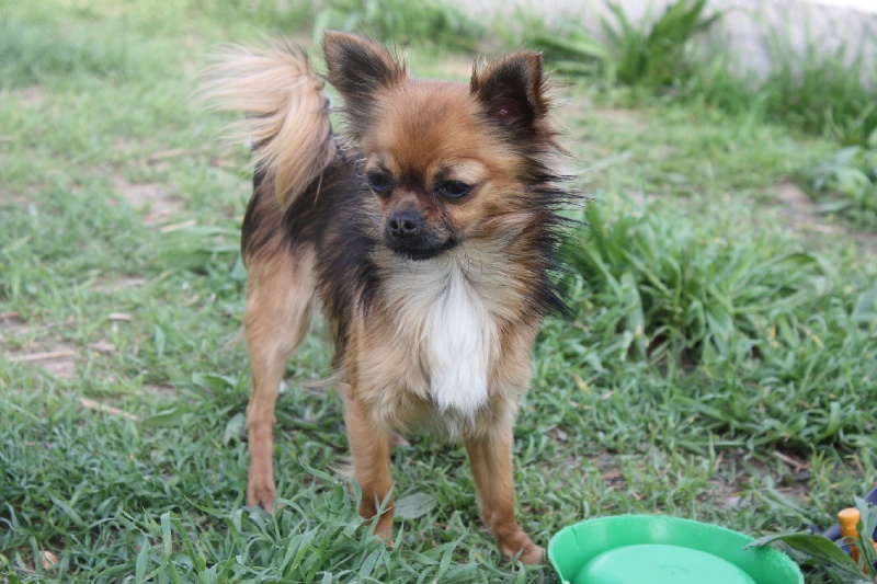 Publication : des Tresors du Mont Ventoux Auteur : VANESSA GROSSEMY