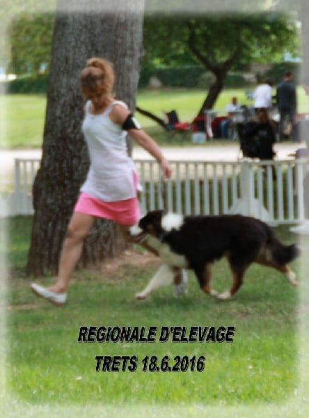 Publication : des Tresors du Mont Ventoux