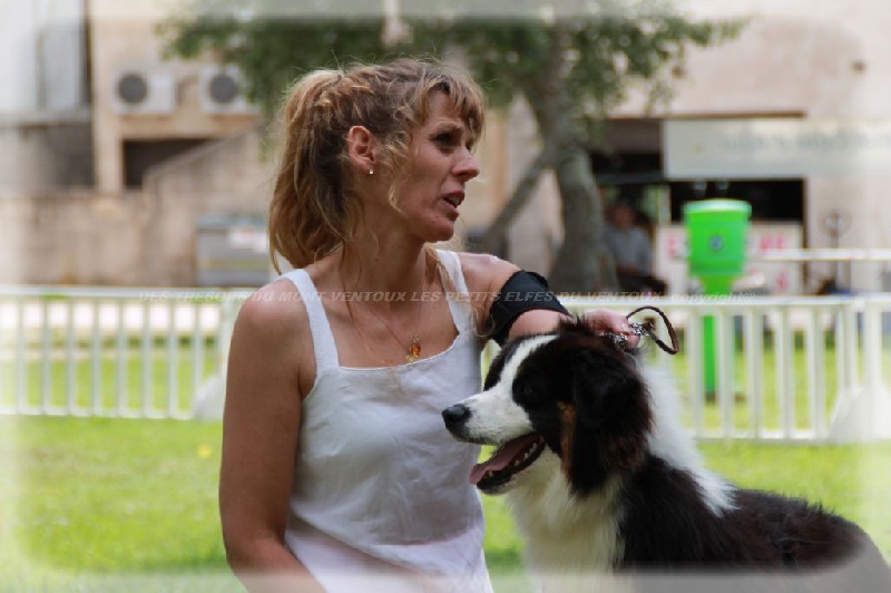 Publication : des Tresors du Mont Ventoux