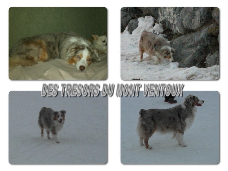 Publication : des Tresors du Mont Ventoux Auteur : VANESSA GROSSEMY