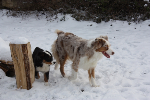 Publication : des Tresors du Mont Ventoux Auteur : VANESSA GROSSEMY