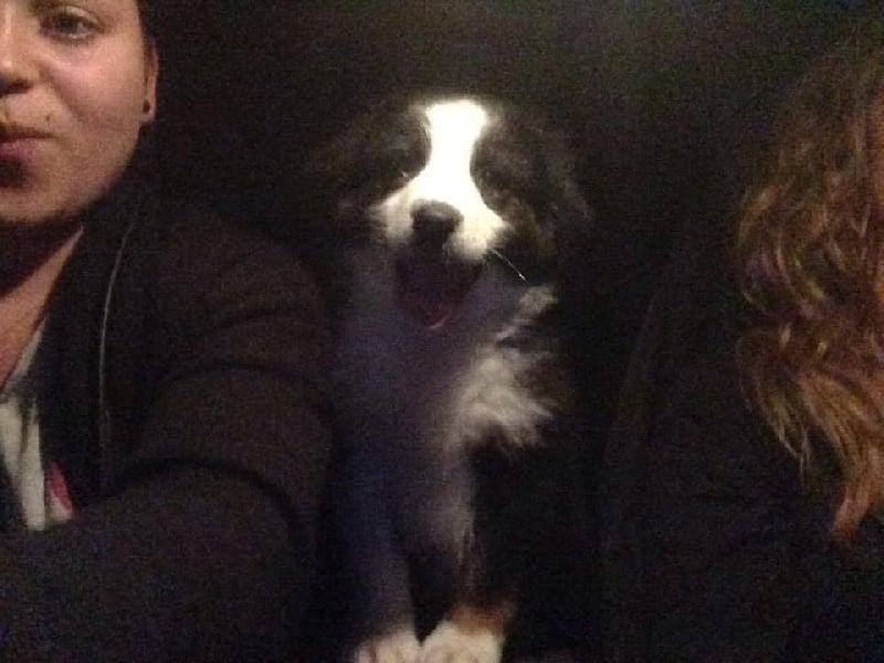 Publication : des Tresors du Mont Ventoux