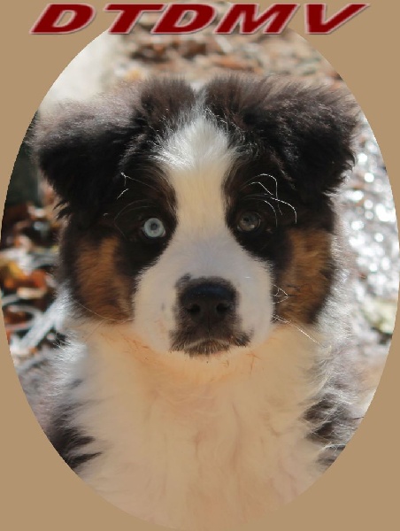 Publication : des Tresors du Mont Ventoux