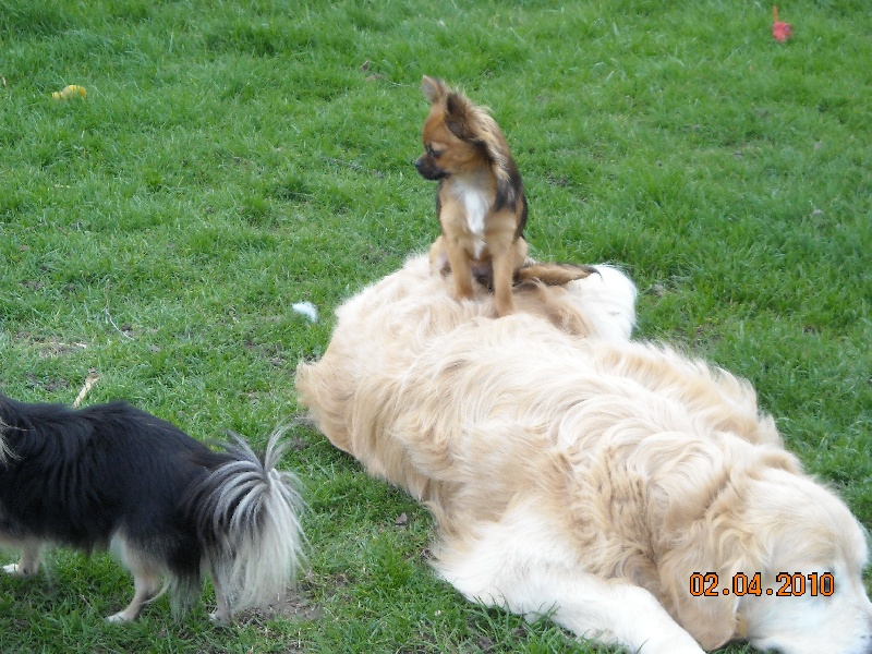 Publication : des Tresors du Mont Ventoux Auteur : VANESSA GROSSEMY