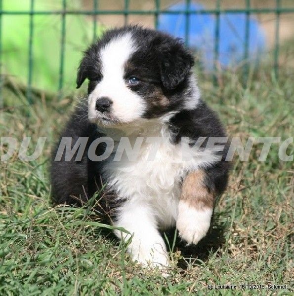 Publication : des Tresors du Mont Ventoux