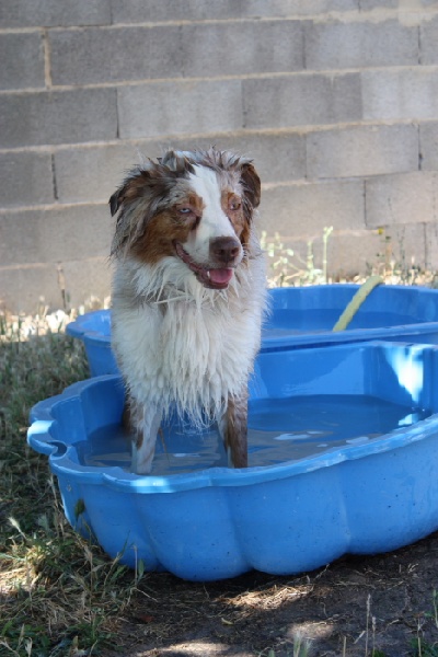 Publication : des Tresors du Mont Ventoux Auteur : VANESSA GROSSEMY