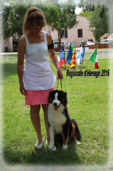 Publication : des Tresors du Mont Ventoux