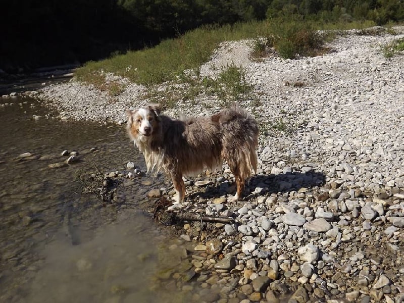 Publication : des Tresors du Mont Ventoux Auteur : VANESSA GROSSEMY