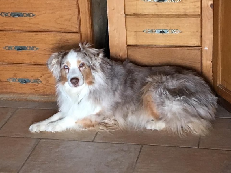 Publication : des Tresors du Mont Ventoux Auteur : VANESSA GROSSEMY