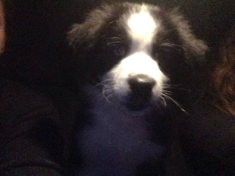 Publication : des Tresors du Mont Ventoux