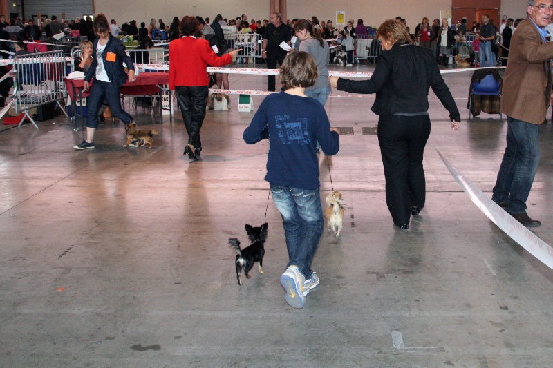 Ginaya des Tresors du Mont Ventoux - TRES PROMETTEUR