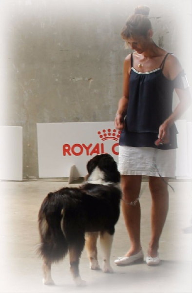 Louis amstrong st louis rover blues de Solemel - 1 ER EXCELLENT