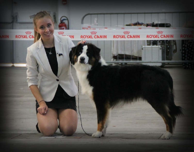 Louis amstrong st louis rover blues de Solemel - 4 EME EXCELLENT /11