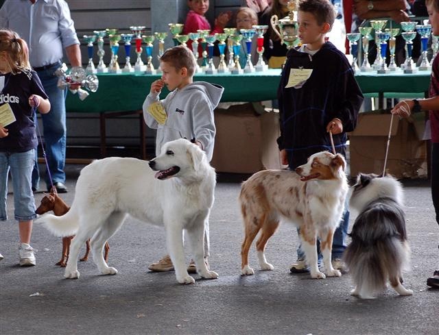 Babet dite biscotte Des doux angelots - bon