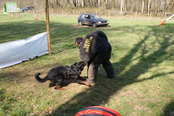 Publication : des feux celestes