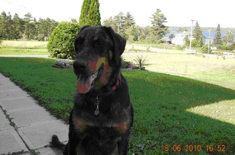 Publication : des feux celestes