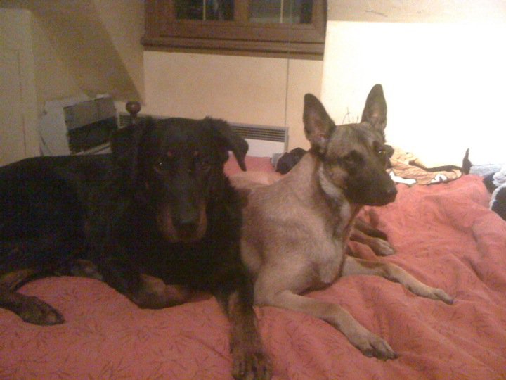 Publication : des feux celestes