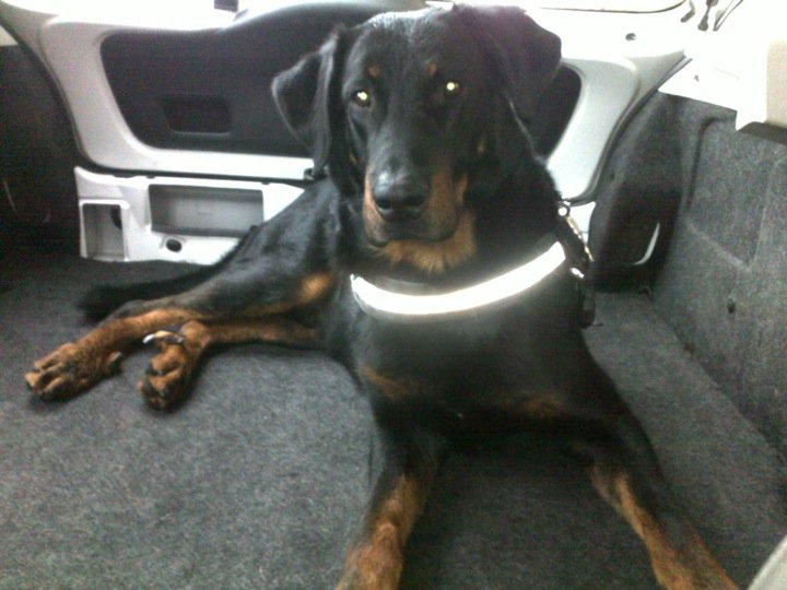 Publication : des feux celestes