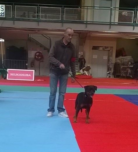 Ladidas bull von one Emmy - 3e Excellent Classe Jeune