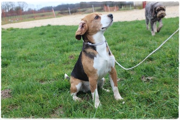 Publication : du clos du bonheur