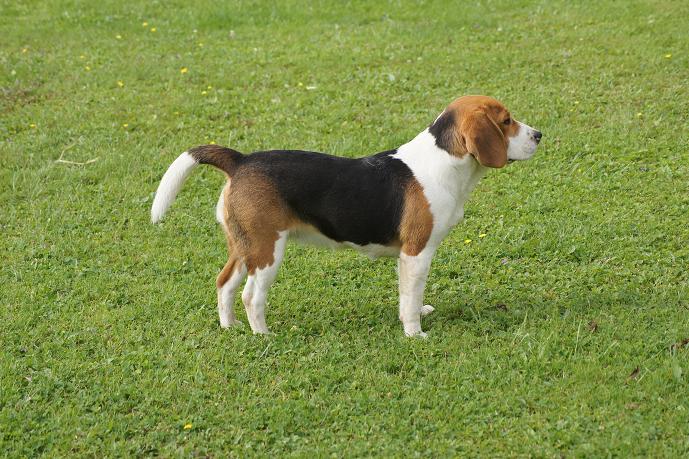 Publication : du clos du bonheur