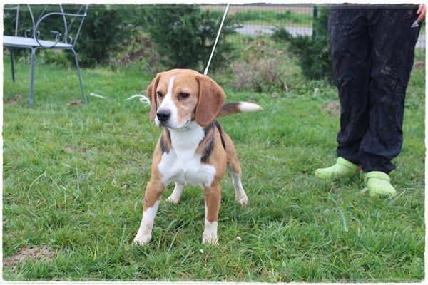 Publication : du clos du bonheur