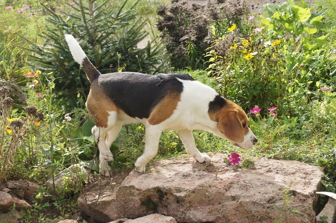 Publication : du clos du bonheur