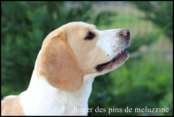 Publication : du clos du bonheur