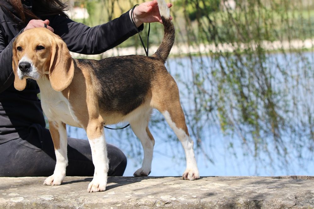 Publication : du clos du bonheur