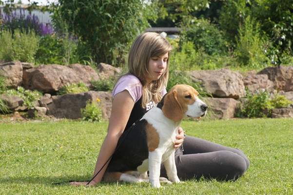 Publication : du clos du bonheur