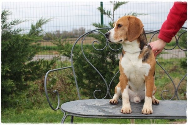 Publication : du clos du bonheur