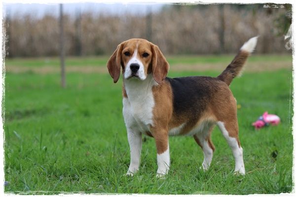 Publication : du clos du bonheur