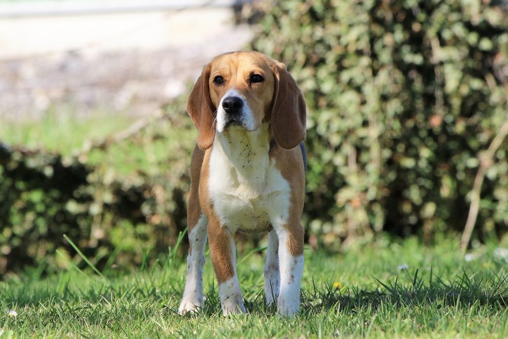 Publication : du clos du bonheur