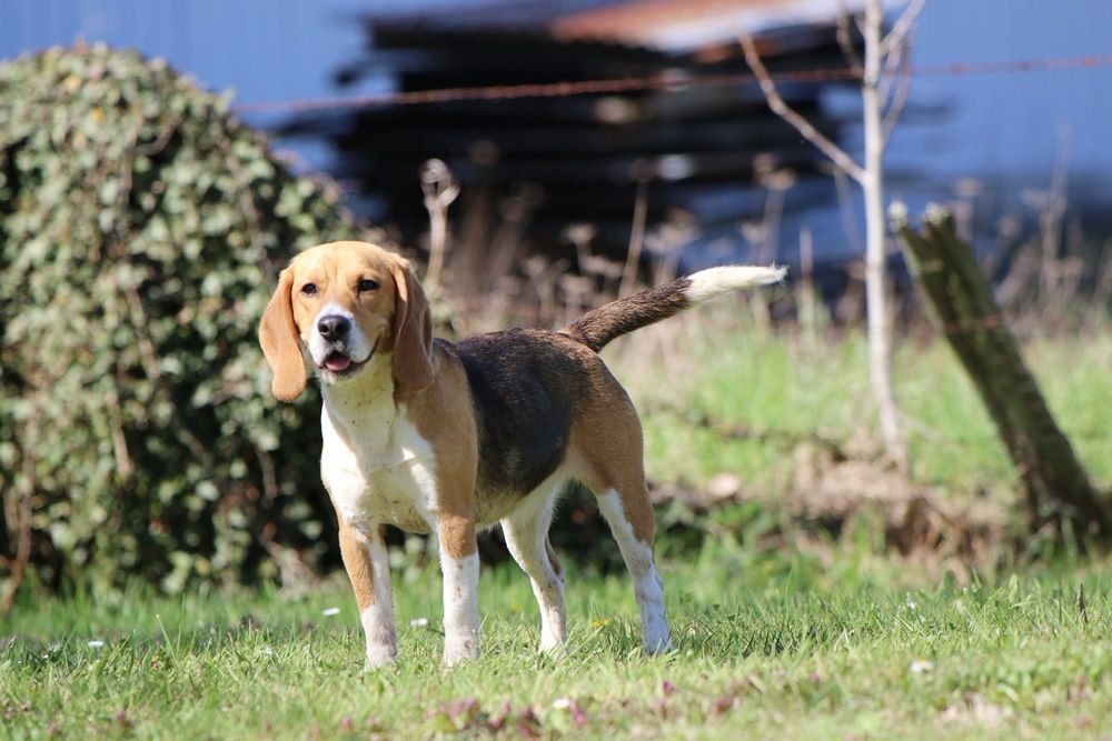 Publication : du clos du bonheur